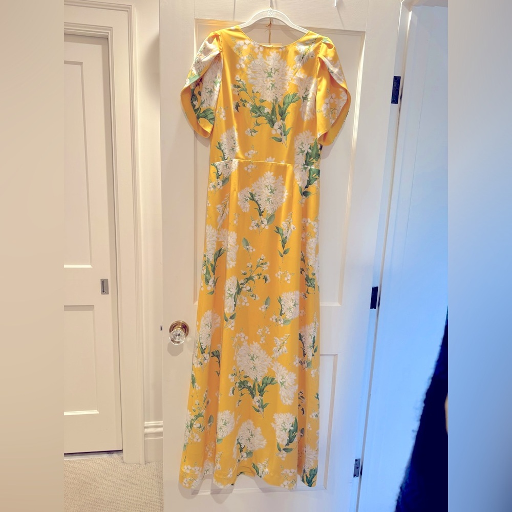 NWT Mestiza NY Katherine Maxi dress - Picture 4 of 11